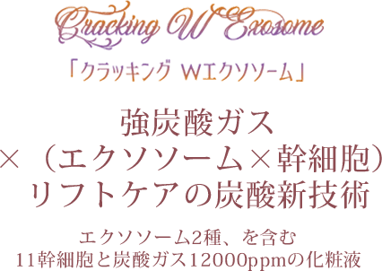 クラッキングWエクソソーム
